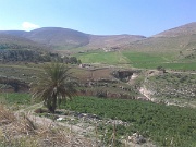 Wadi Wala (5)